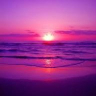 PurpleSunset