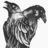 Wormwood