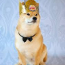 King Doge