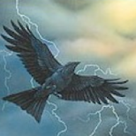 StormofCrows