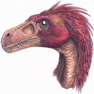 Dromeosaur