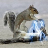 DarthSquirrel