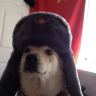 ComradeDoge