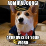 Admiral_Corgi