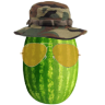 Radmelon