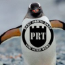 pandemicpenguin