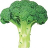 Brocolli