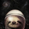 SpaceSloth