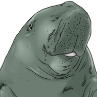 t-dugong