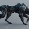 ZeroTheWarhound