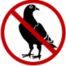 NotaBirb