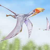 Dimorphodon